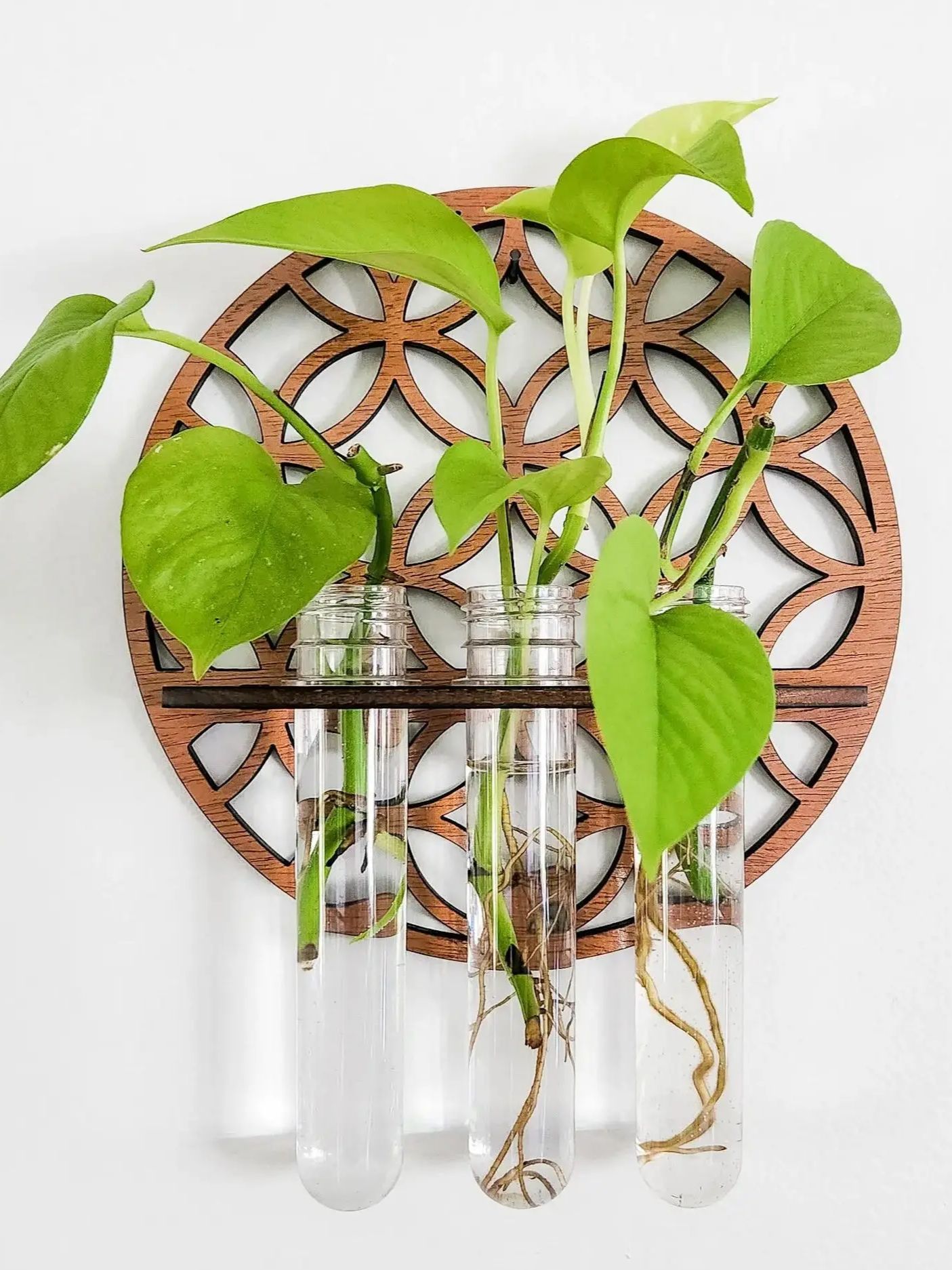 Propagation Station Vase - Garten-Wandpflanzgefäße für den Innenbereich, kreisförmiger Pflanzenaufhänger