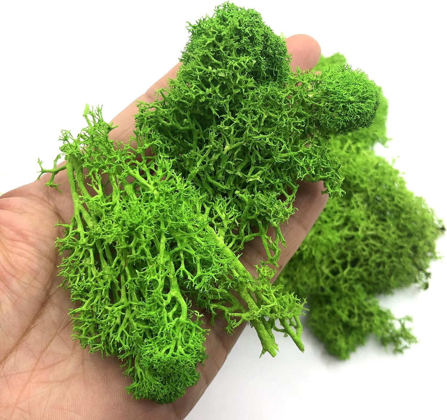 Sphagnum Moss Dry - 200 g künstliche Grünpflanzen, Mini-Landschaft, ewiges