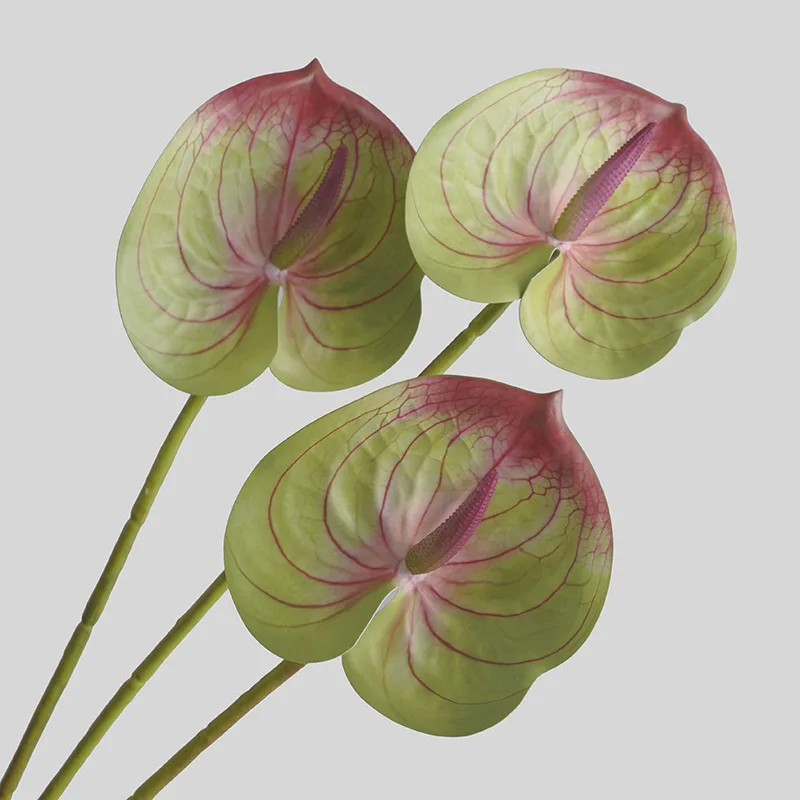 Sphagnum Moss Dry - Simulierte Blume Wohnzimmer Haupt dekoration künstliche