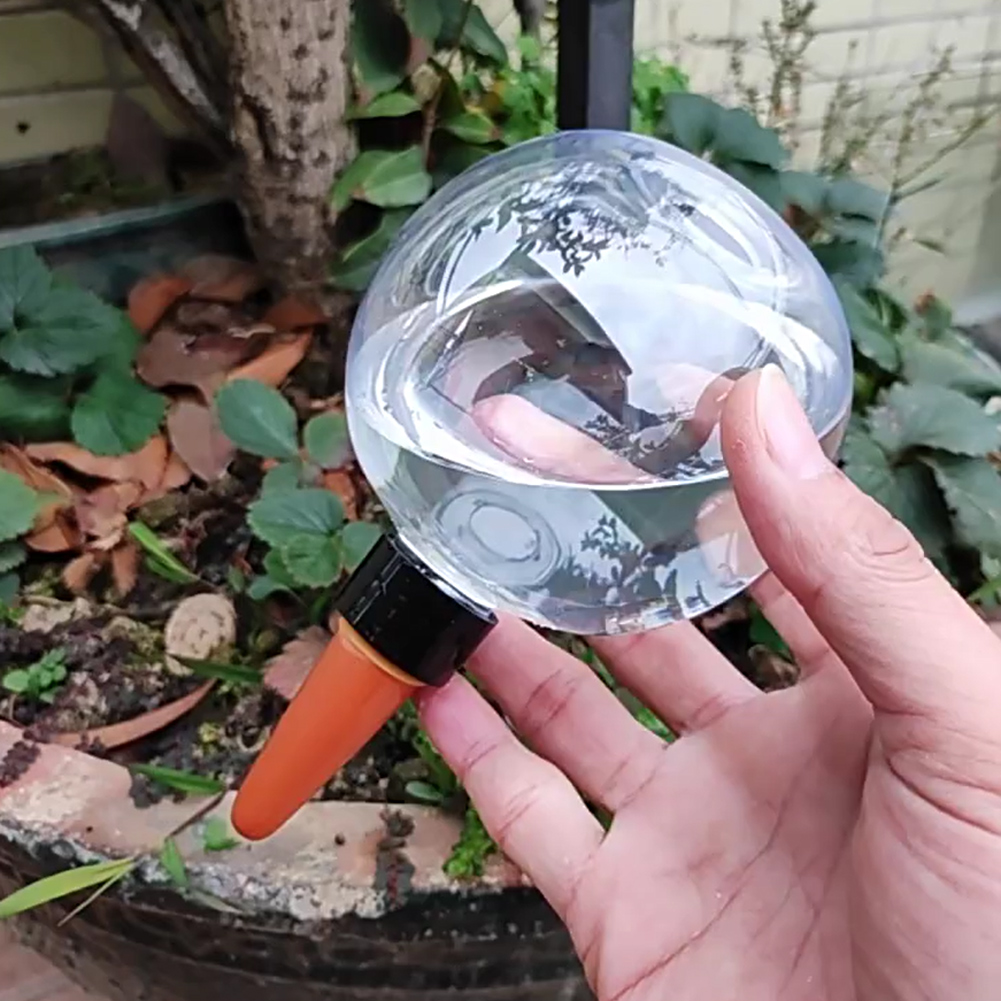 500ML Selbstbewässernde Kugeln – Self Watering Insert Bewertung und Preis