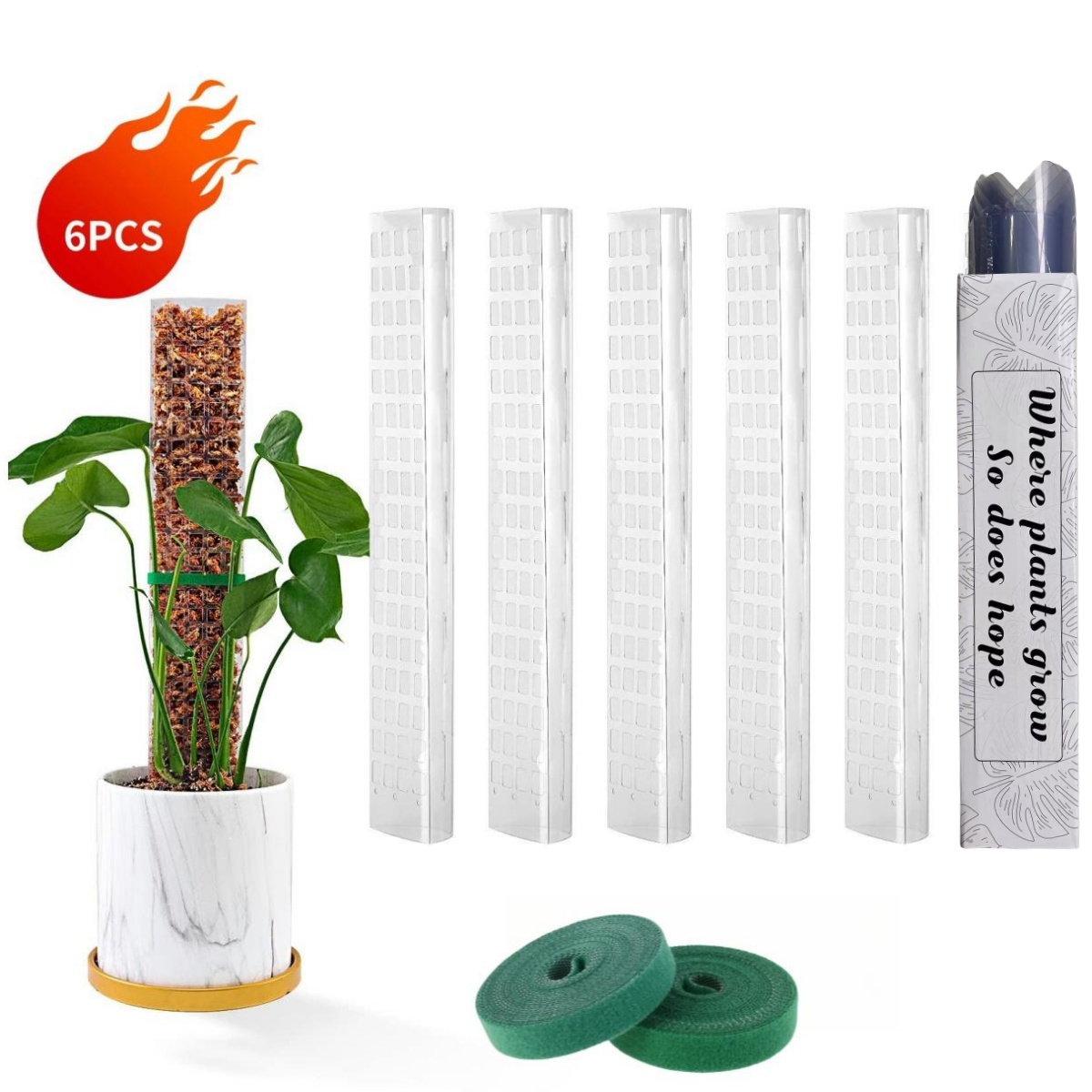 Moosstangen, Pflanzen, Pflanze – Sphagnum Moss Dry Bewertung und Preis