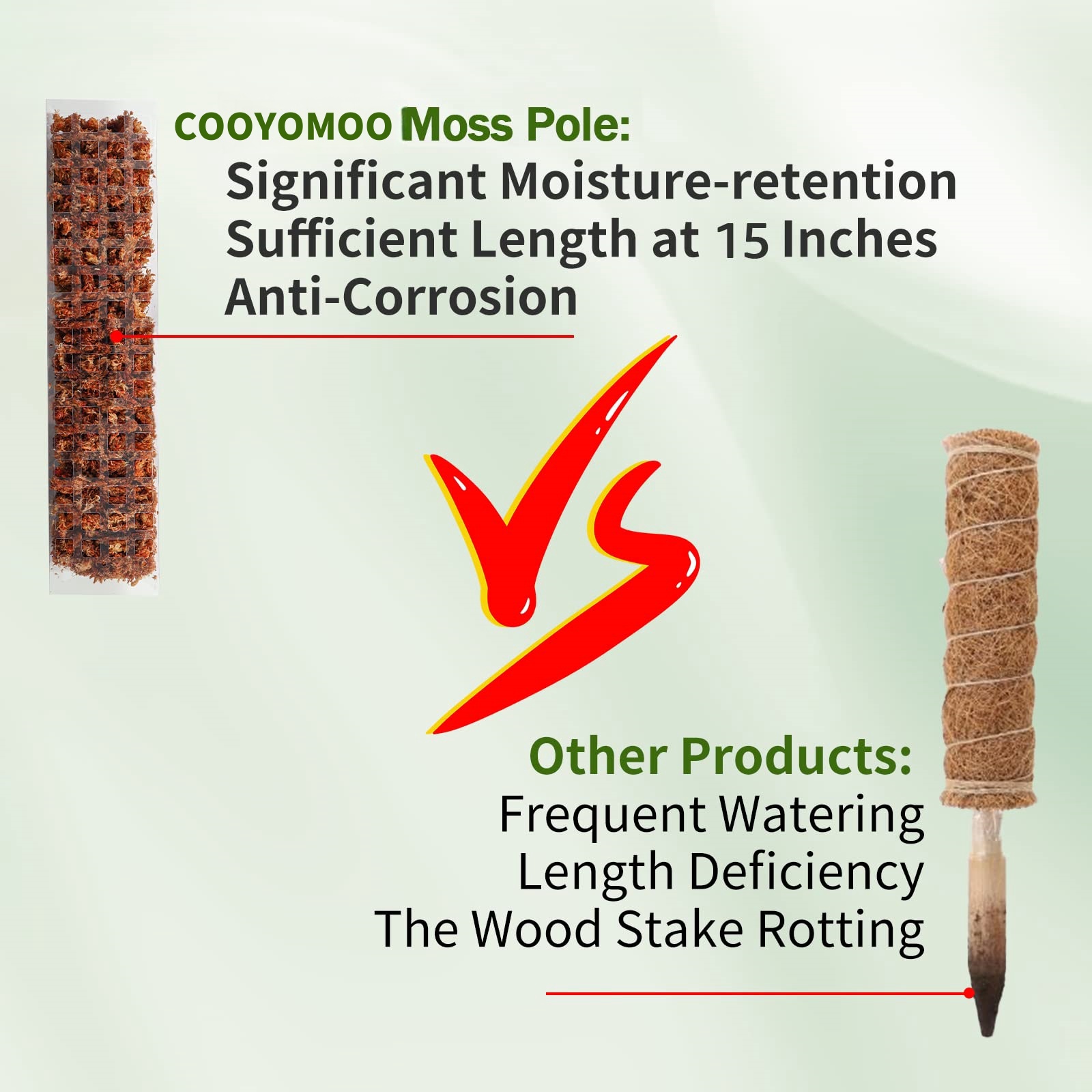 Moosstangen, Pflanzen, Pflanze – Sphagnum Moss Dry Bewertung und Preis