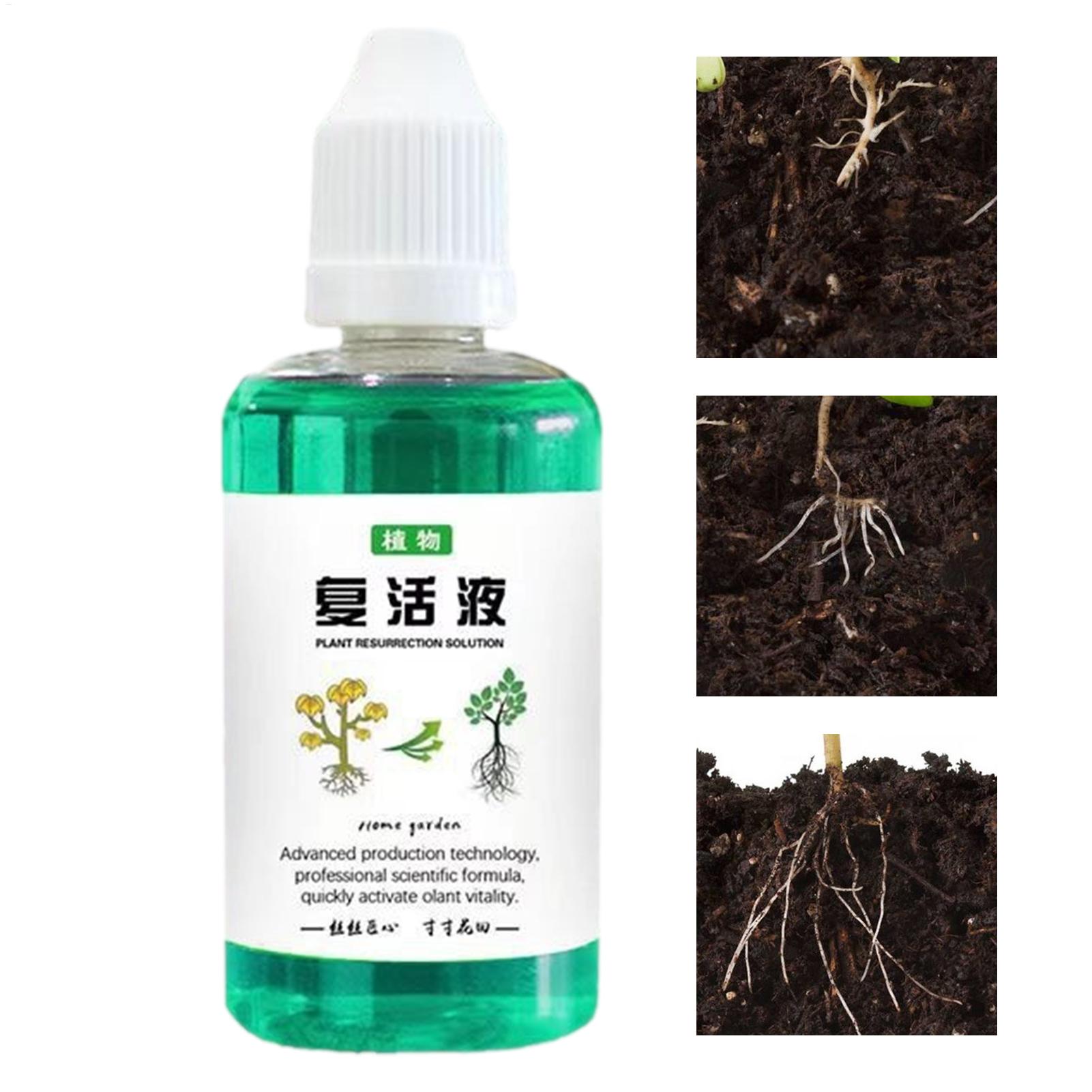 50ml Wurzelstimulator Pflanzen – Root Stimulator Liquid Bewertung und Preis