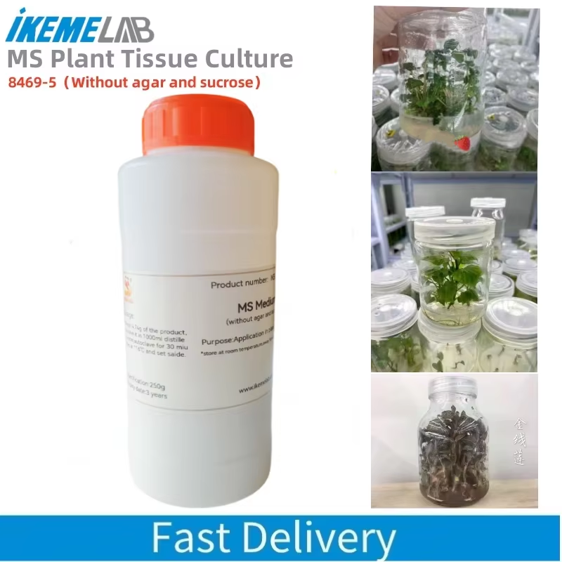 IKEME 250g Lab MS Medium ohne  – Agar Tissue Culture Bewertung und Preis