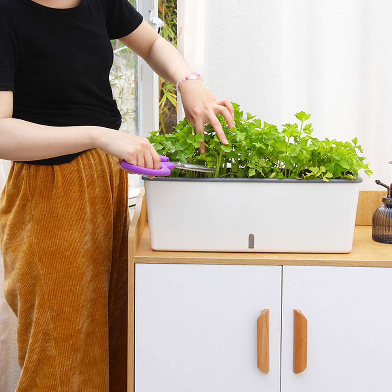 Selbstbewässernde Pflanztöpfe  – Self Watering Insert Bewertung und Preis