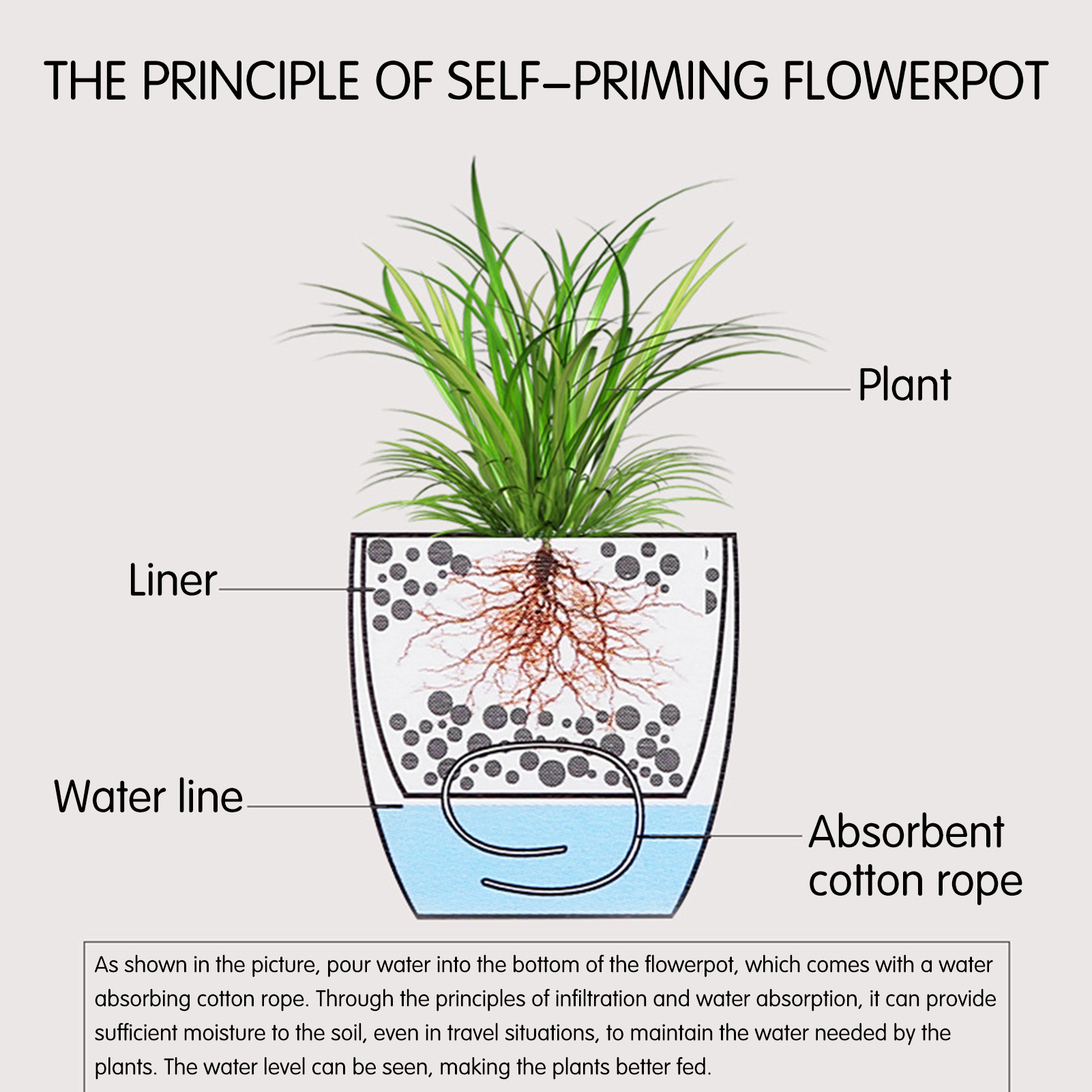 Automatische Selbst Bewässerun – Self Watering Insert Bewertung und Preis
