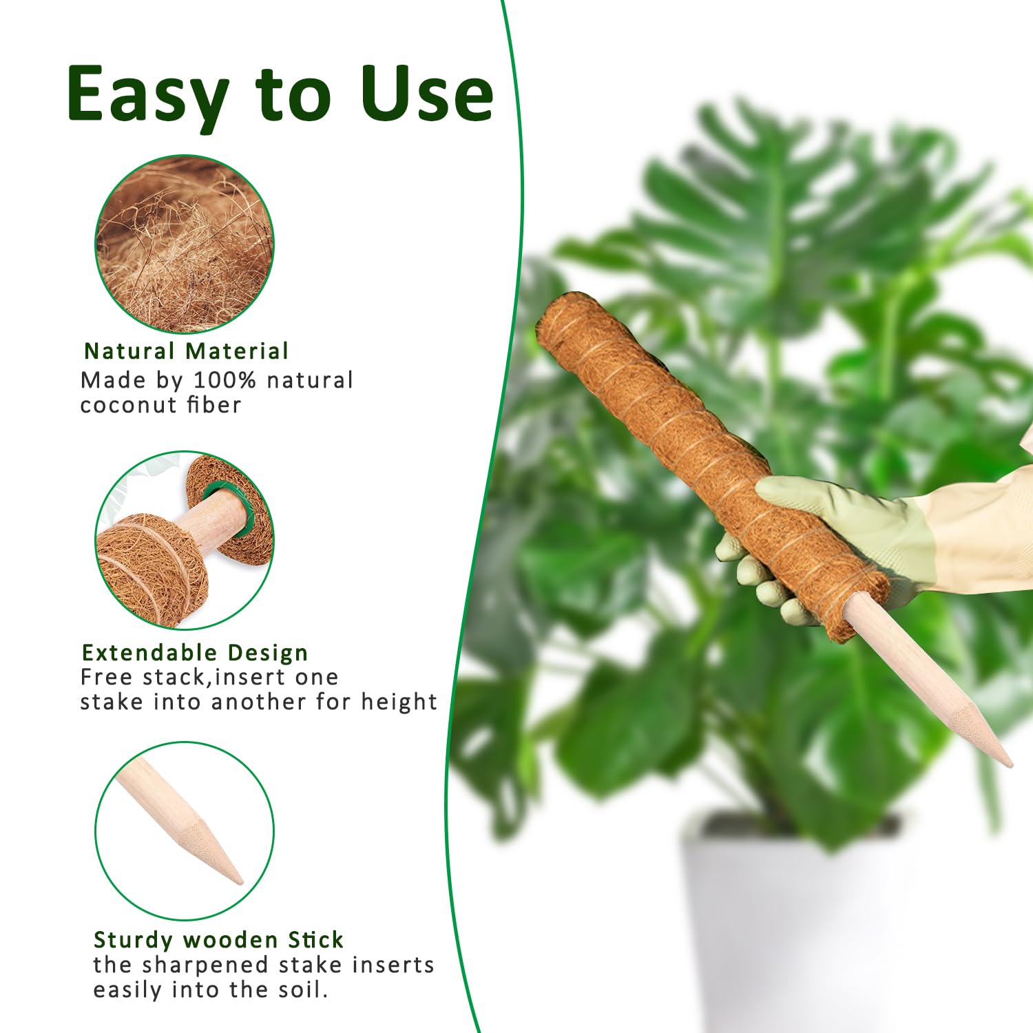 Moosstange, 38/43/53 cm, Monst – Sphagnum Moss Dry Bewertung und Preis