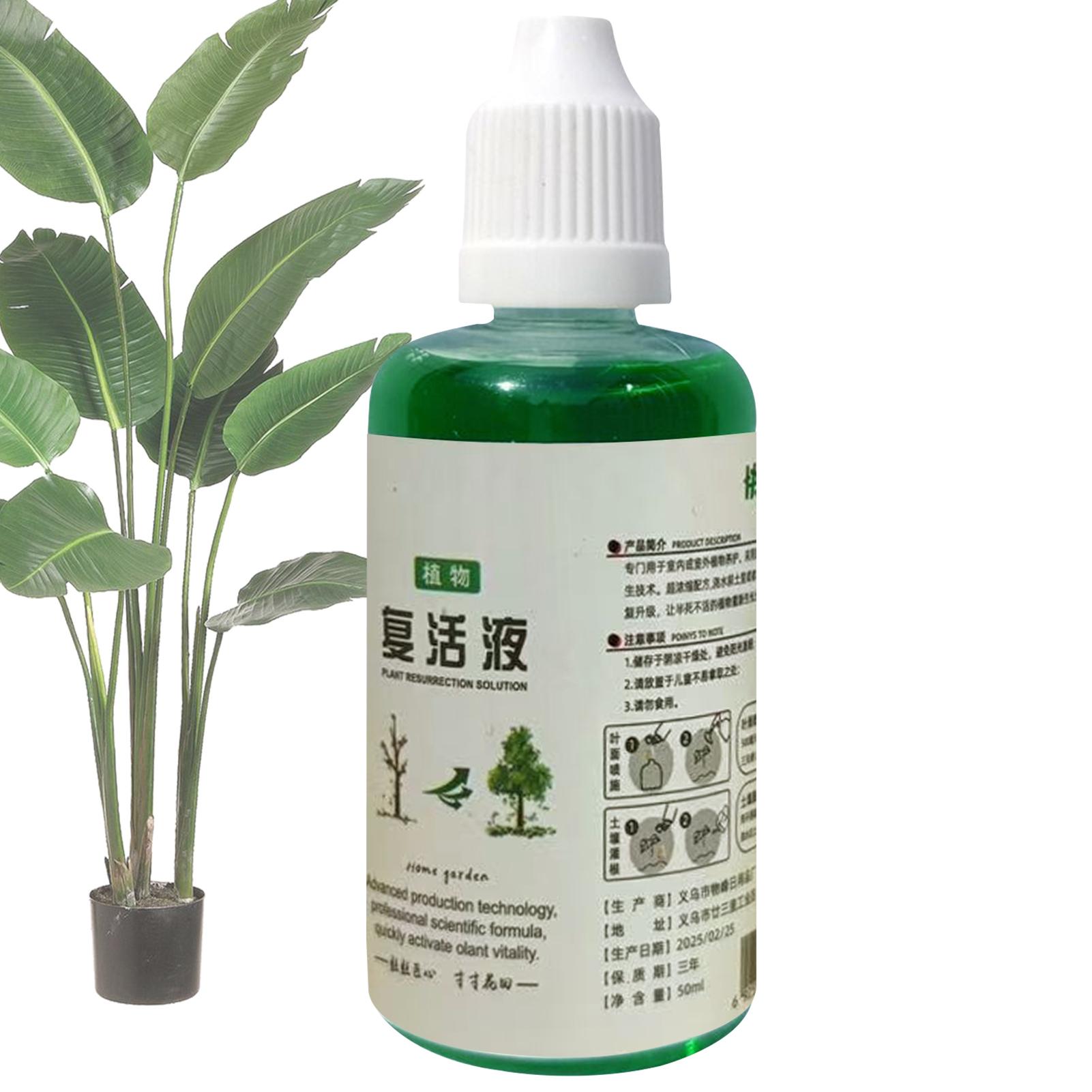 Wurzelstimulator Pflanzenwiede – Root Stimulator Liquid Bewertung und Preis