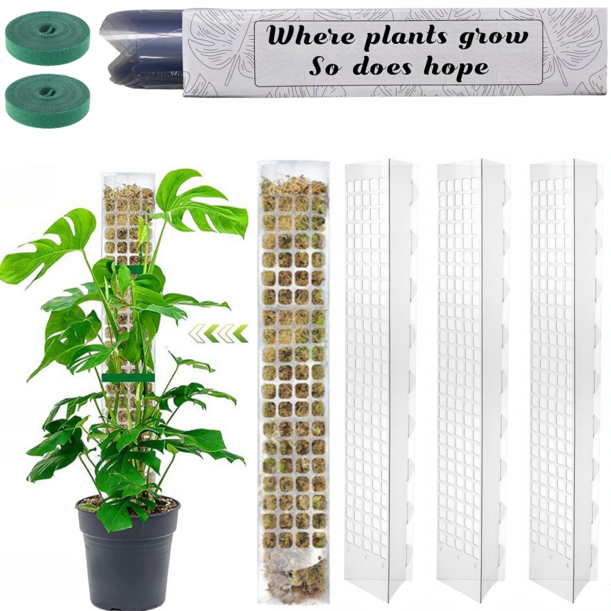 Moos Pole Kunststoff Pflanzens – Sphagnum Moss Dry Bewertung und Preis