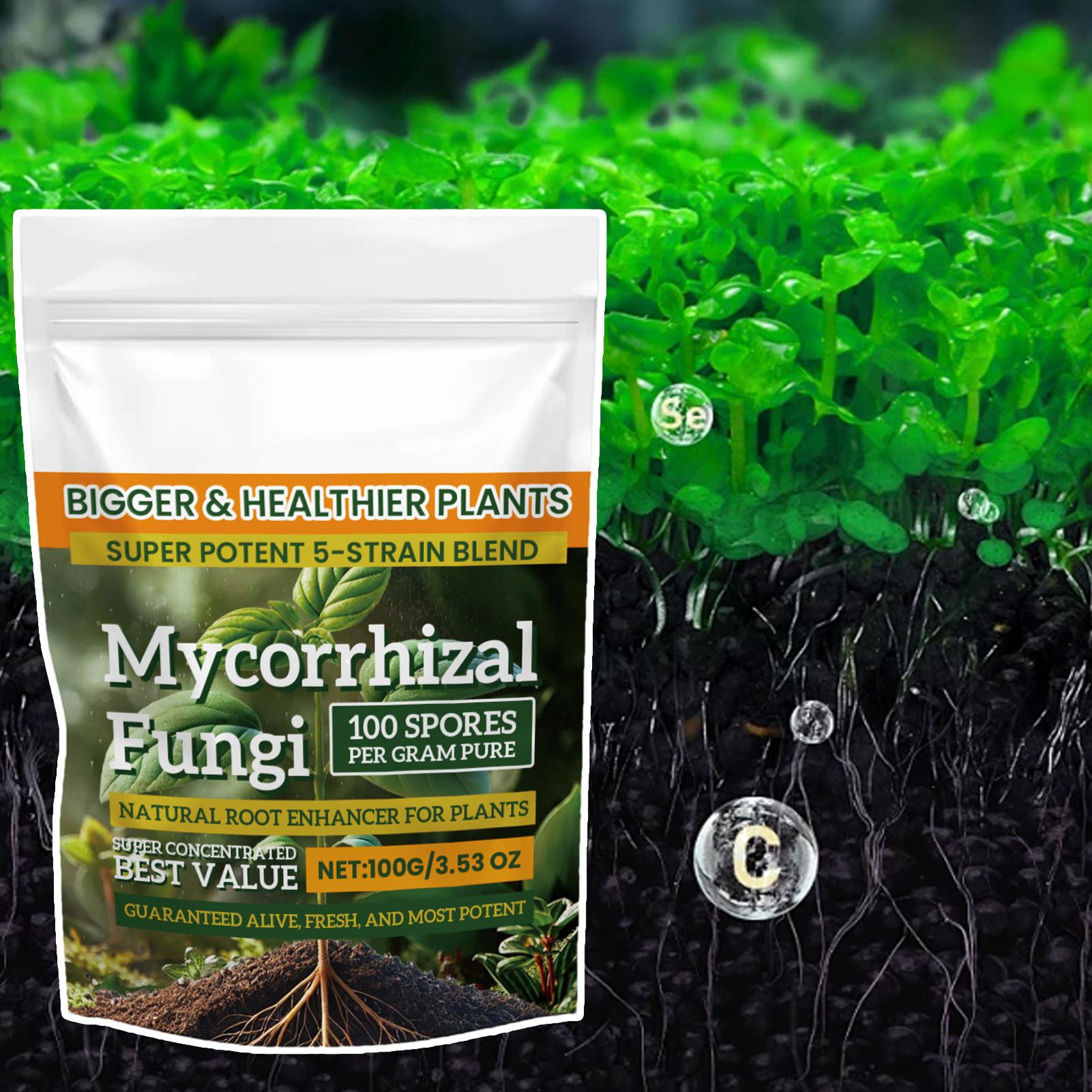 Neues Pflanzennährstoffpulver  – Rooting Hormone Powder Bewertung und Preis