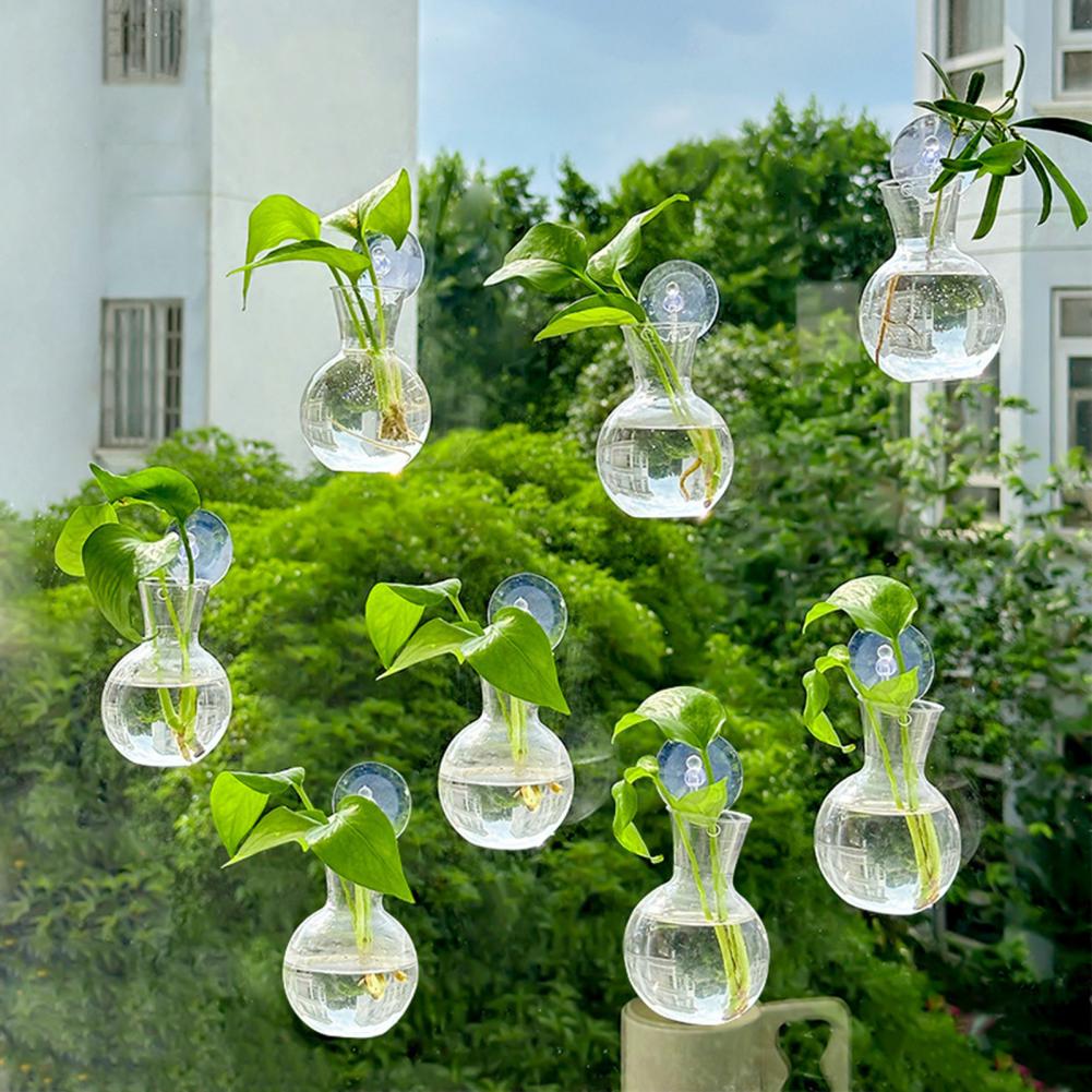Fensterpflanzgefäß, Fensterpfl – Propagation Station Vase Bewertung und Preis