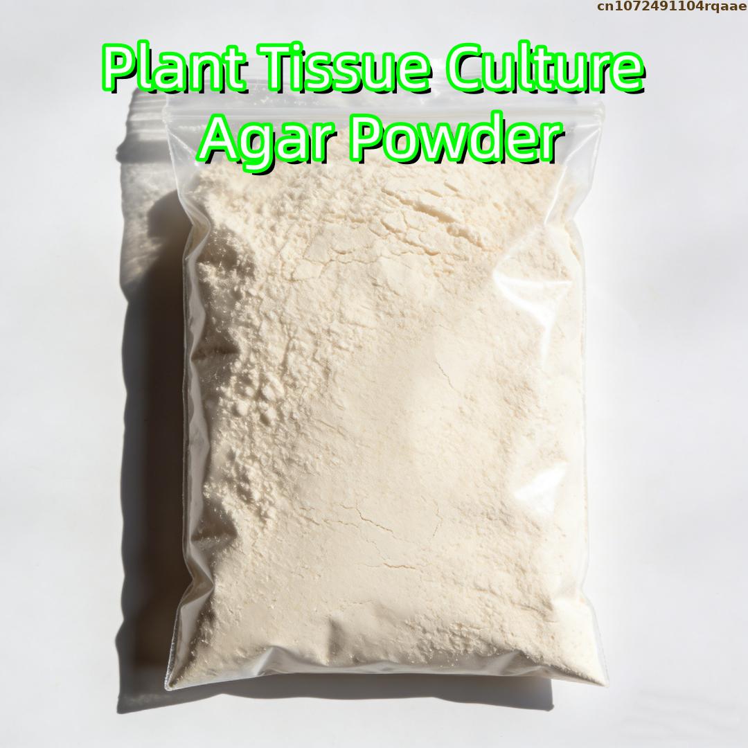 Premium Pflanzengewebekultur-A – Agar Tissue Culture Bewertung und Preis