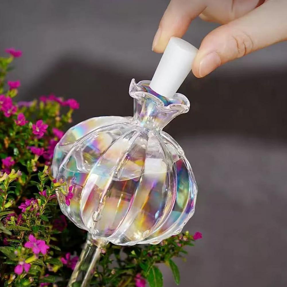 24 cm selbstbewässernde Kaktus – Self Watering Insert Bewertung und Preis