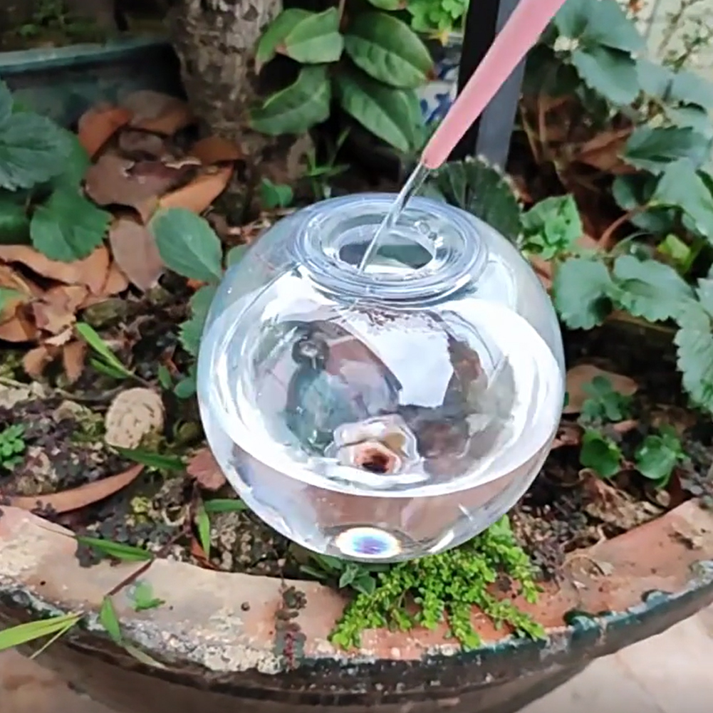 500ML Selbstbewässernde Globen – Self Watering Insert Bewertung und Preis
