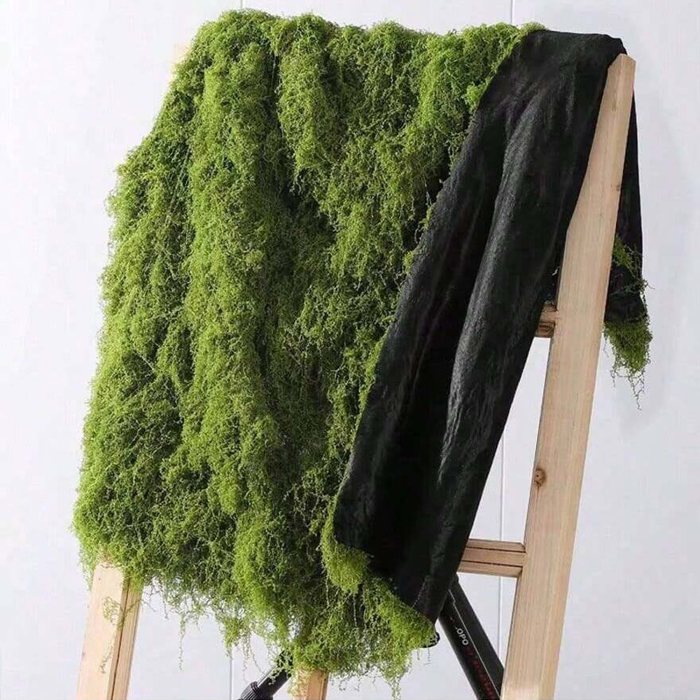 1*1m Gefälschte Moos DIY Handw – Sphagnum Moss Dry Bewertung und Preis