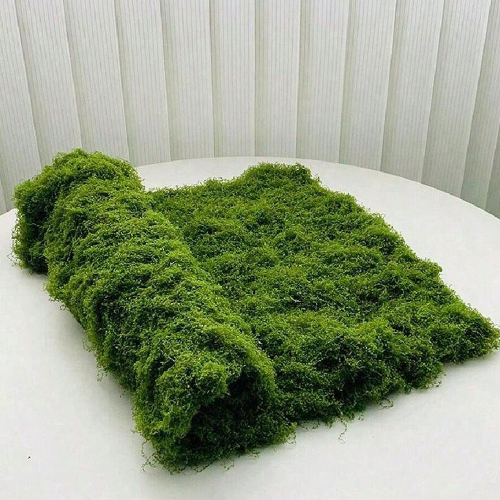 1*1m Gefälschte Moos DIY Handw – Sphagnum Moss Dry Bewertung und Preis