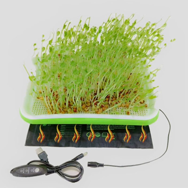 Reptilien-Lebensraum-Heizkisse – Heat Mat Seedling Bewertung und Preis