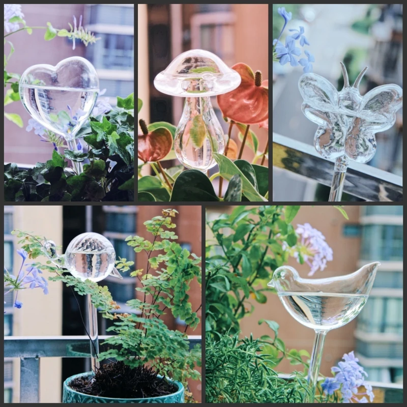 Kreative Glas-Pflanzenbewässer – Self Watering Insert Bewertung und Preis