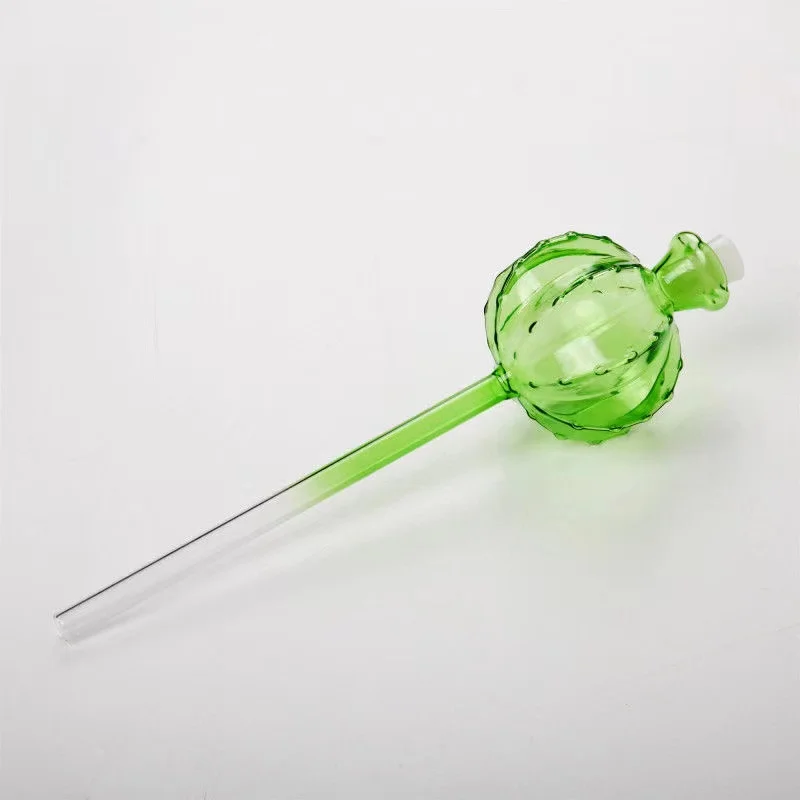 Kreative Glas-Pflanzenbewässer – Self Watering Insert Bewertung und Preis