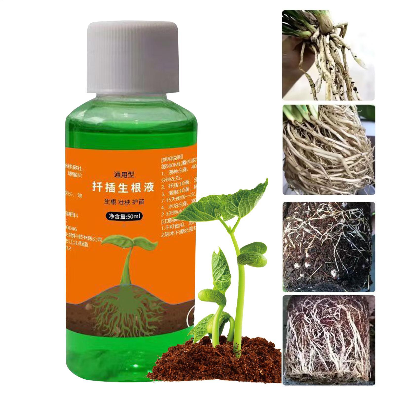 Hocheffizienter Wurzelstimulat – Root Stimulator Liquid Bewertung und Preis