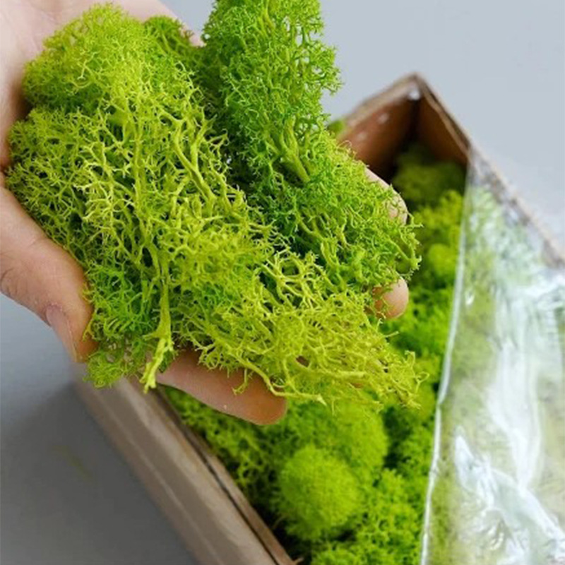 200 g künstliche Grünpflanzen, – Sphagnum Moss Dry Bewertung und Preis