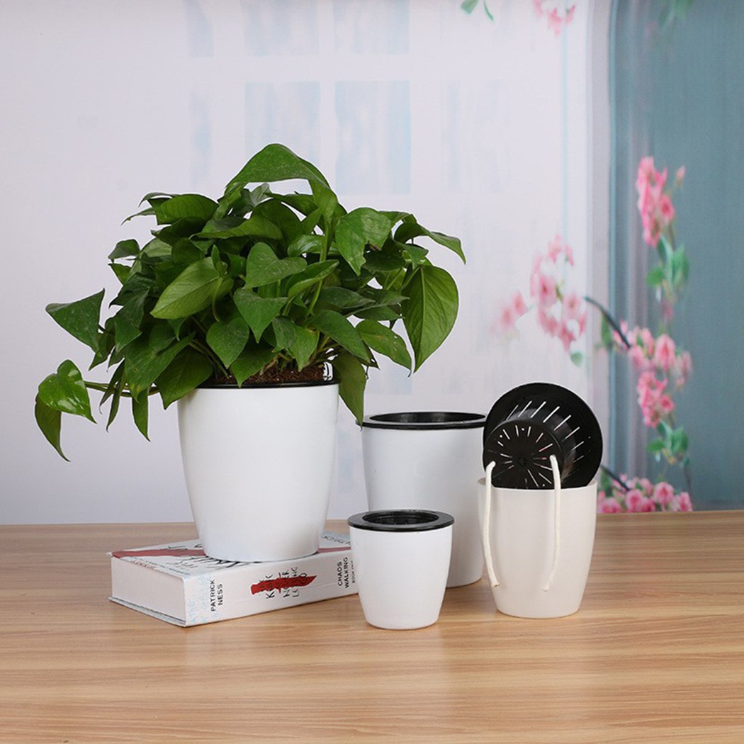 Automatische Bewässerung Blume – Self Watering Insert Bewertung und Preis