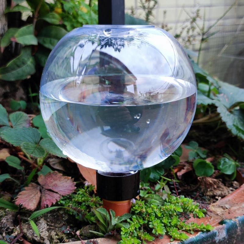 Pflanzenbewässerungszwiebeln,  – Self Watering Insert Bewertung und Preis