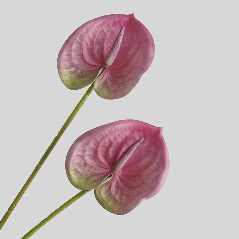 Simulierte Blume Wohnzimmer Ha – Sphagnum Moss Dry Bewertung und Preis