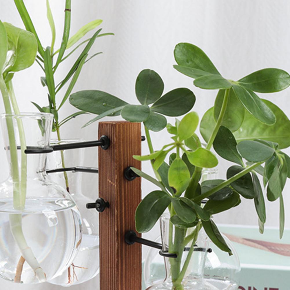 1 Set 10 * 25 cm Pflanzen Verm – Propagation Station Vase Bewertung und Preis