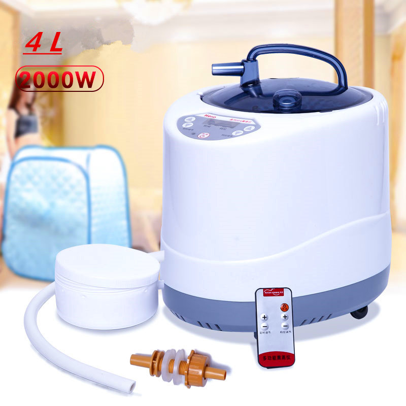 Dampferzeuger, 220 V/110 V, EU – Self Watering Insert Bewertung und Preis
