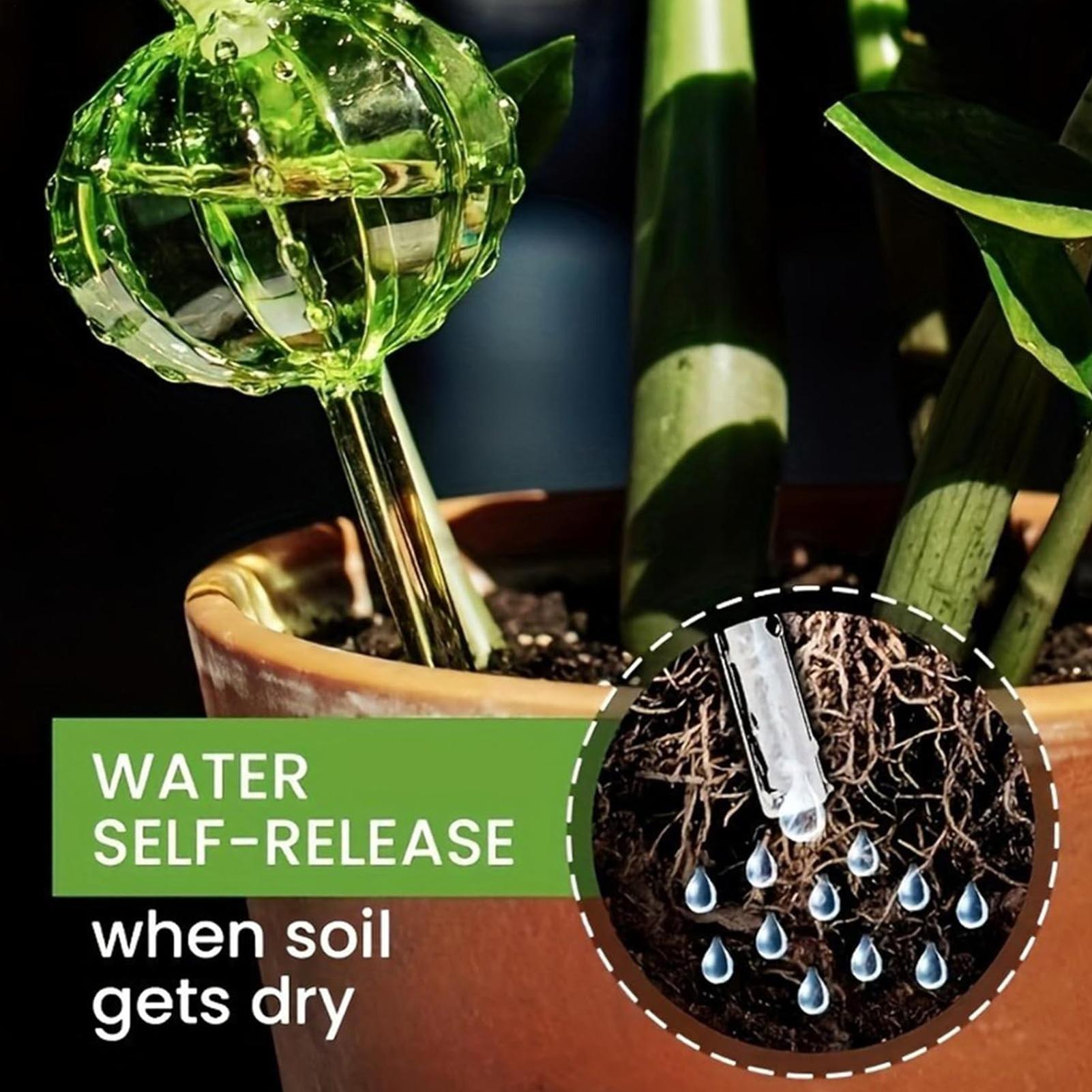 Pflanzenbewässerungsstäbe, 3 S – Self Watering Insert Bewertung und Preis