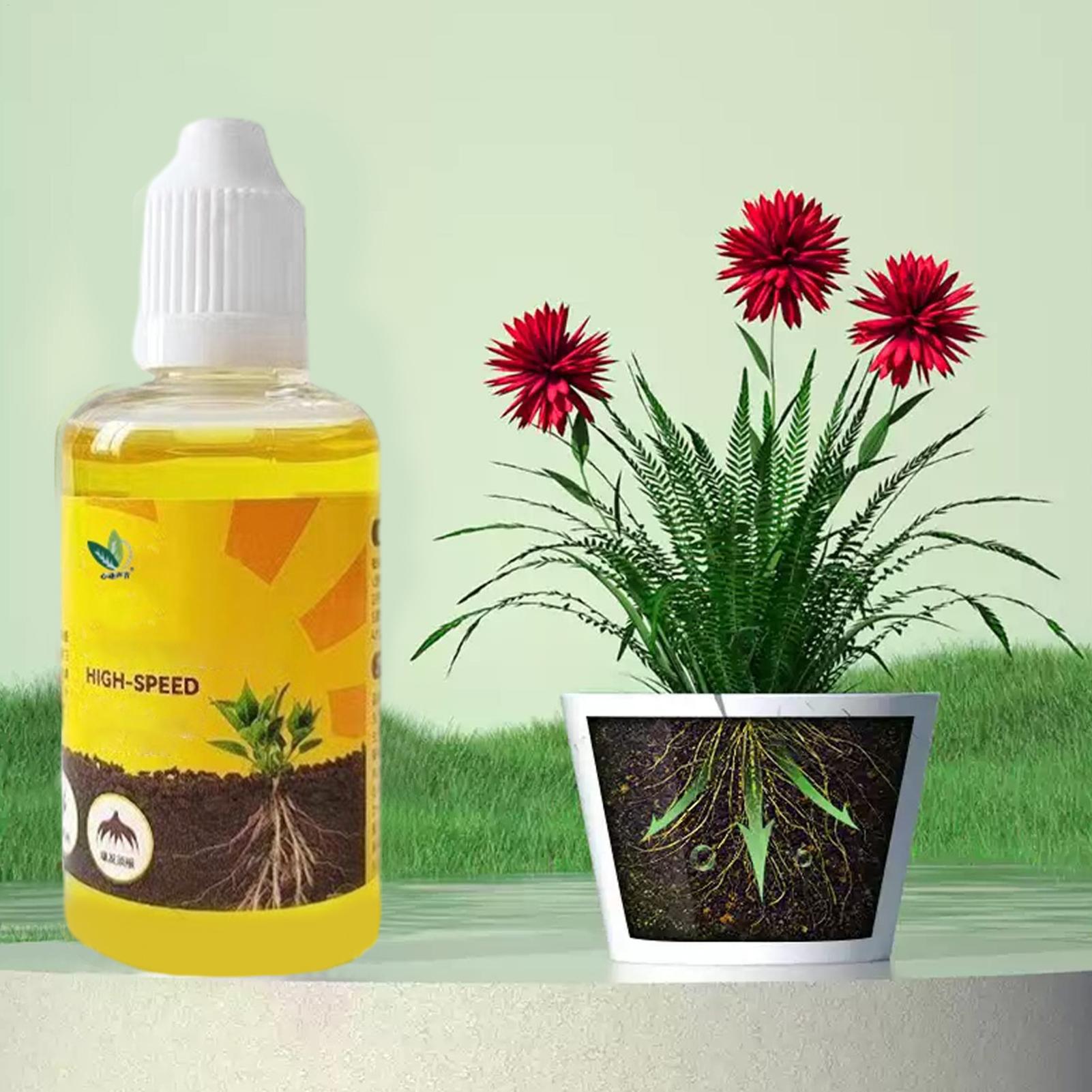 Pflanzen-Schnellbewurzelungslö – Root Stimulator Liquid Bewertung und Preis