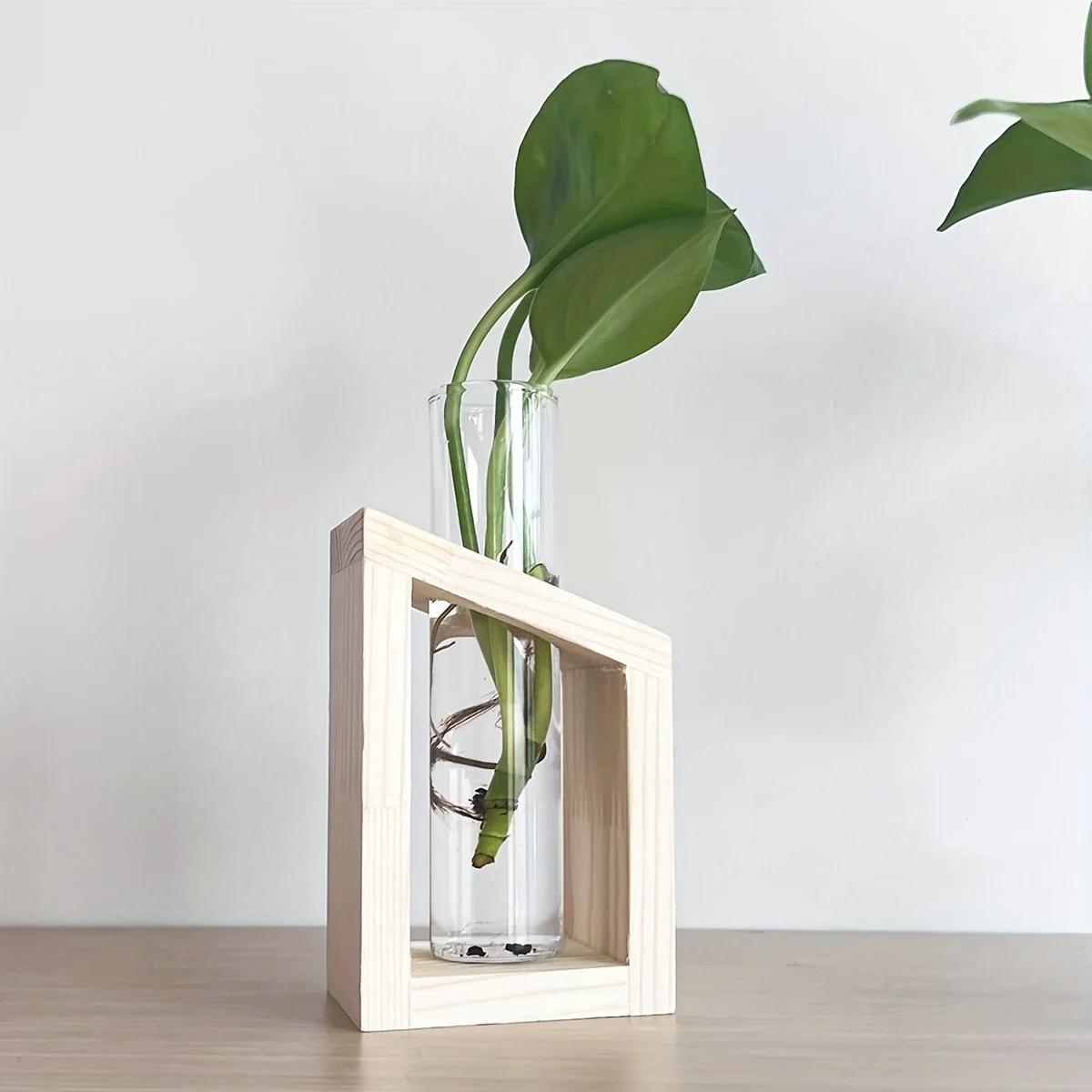 Reagenzglas-Glasvase, Pflanzen – Propagation Station Vase Bewertung und Preis