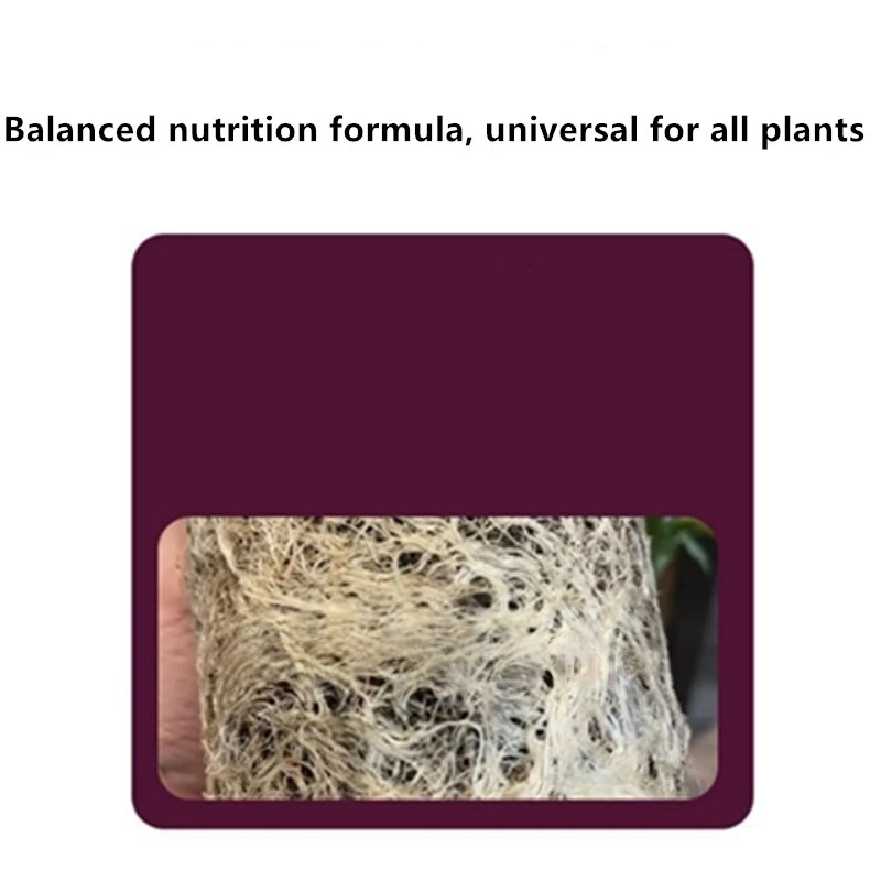 2 Beutel Wurzelhormoonpulver U – Rooting Hormone Powder Bewertung und Preis