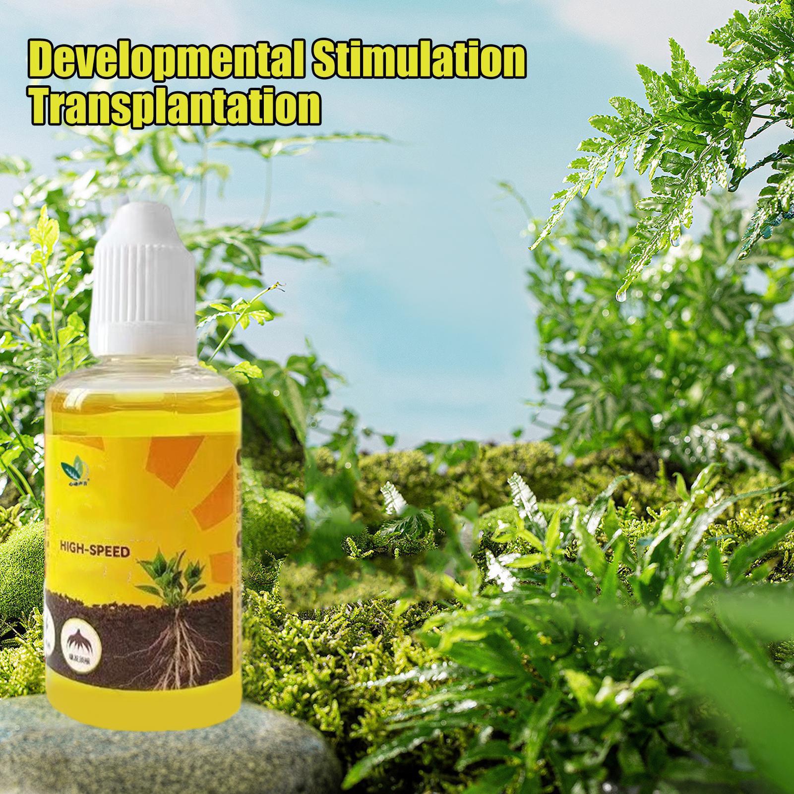 Schnelles Töpfchen, Wurzelpfla – Root Stimulator Liquid Bewertung und Preis