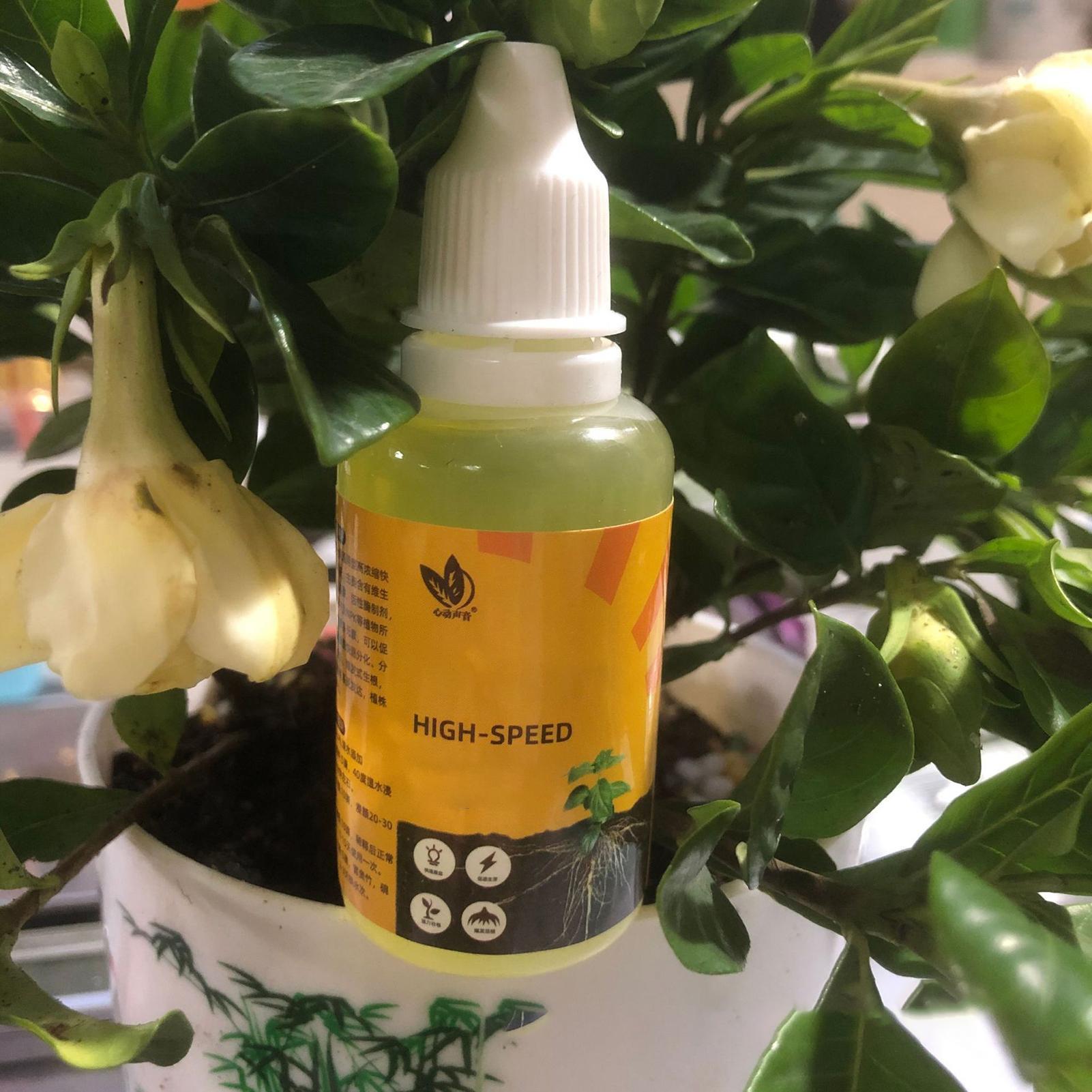 Schnelles Töpfchen, Wurzelpfla – Root Stimulator Liquid Bewertung und Preis