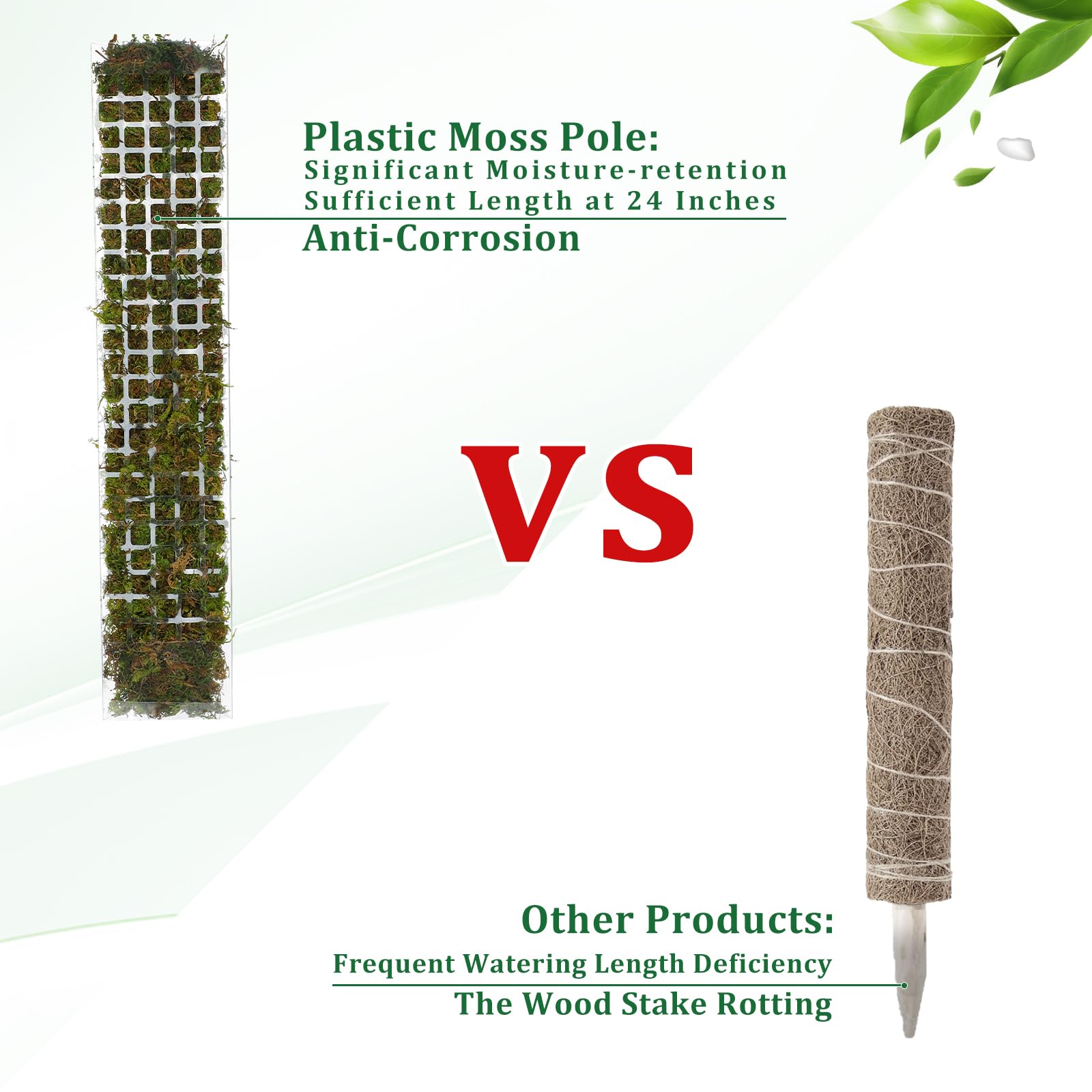 2/4/6Pcs Moos Pole Kunststoff  – Sphagnum Moss Dry Bewertung und Preis