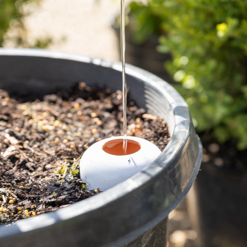 Pflanzen bewässerungs kugel, T – Self Watering Insert Bewertung und Preis